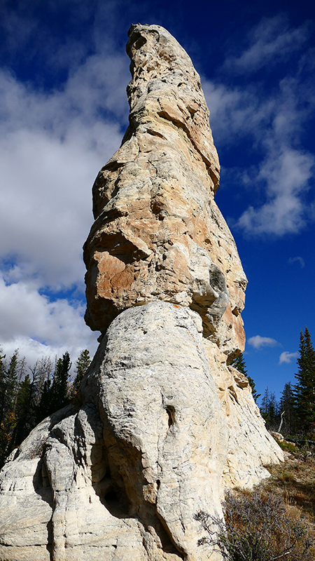 White Rock Canyon Medicine Bow National Forest Wyoming