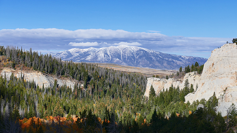 White Rock Canyon Medicine Bow National Forest Wyoming