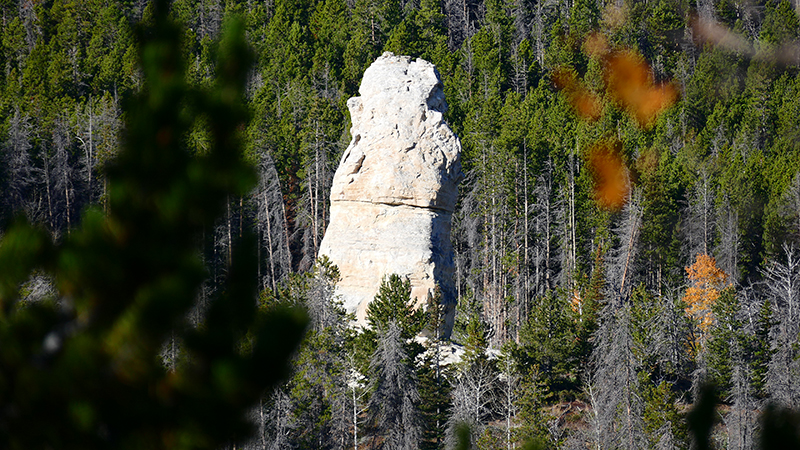 White Rock Canyon Medicine Bow National Forest Wyoming