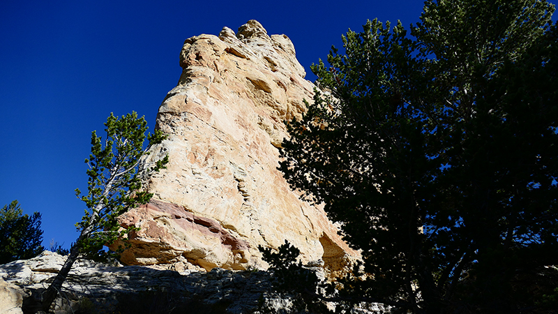 White Rock Canyon Medicine Bow National Forest Wyoming