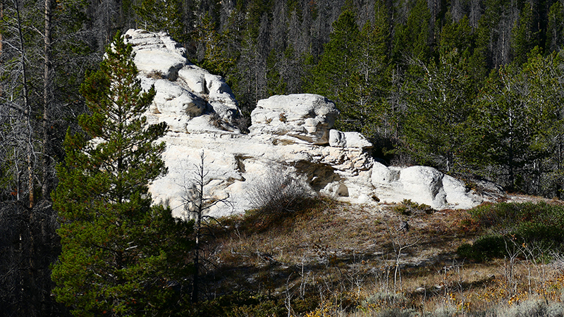 White Rock Canyon Medicine Bow National Forest Wyoming