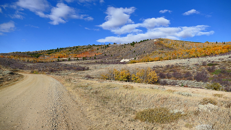 White Rock Canyon Medicine Bow National Forest Wyoming