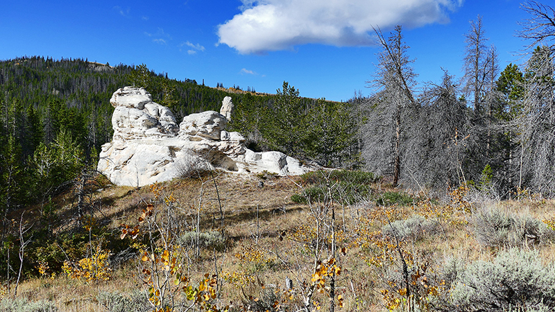 White Rock Canyon Medicine Bow National Forest Wyoming