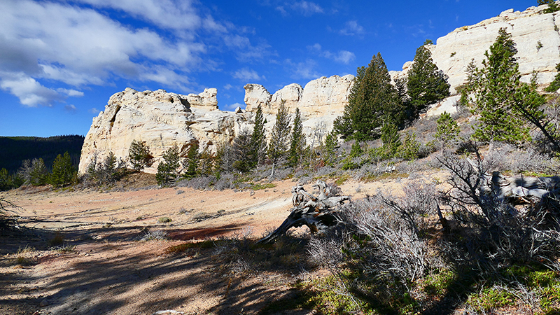 White Rock Canyon Medicine Bow National Forest Wyoming