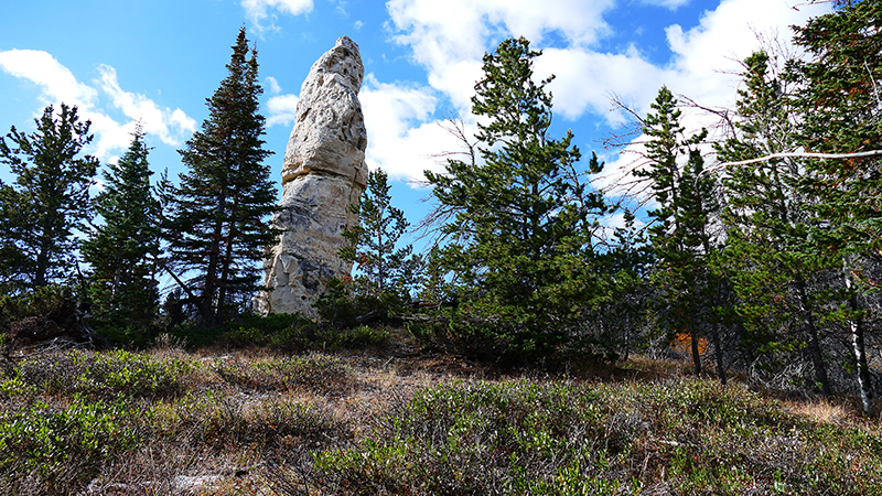 White Rock Canyon Medicine Bow National Forest Wyoming