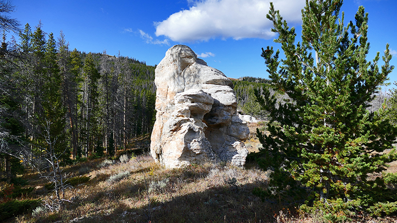 White Rock Canyon Medicine Bow National Forest Wyoming