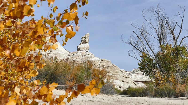 White Rock Canyon