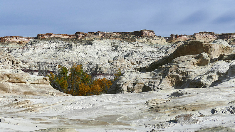 White Rock Canyon [GSENM]