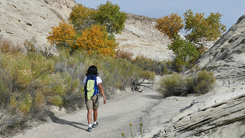 White Rock Canyon [GSENM]