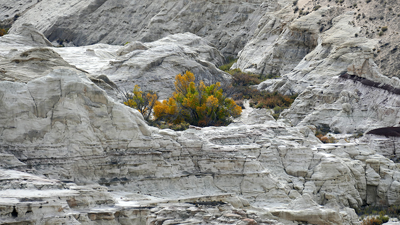 White Rock Canyon [GSENM]