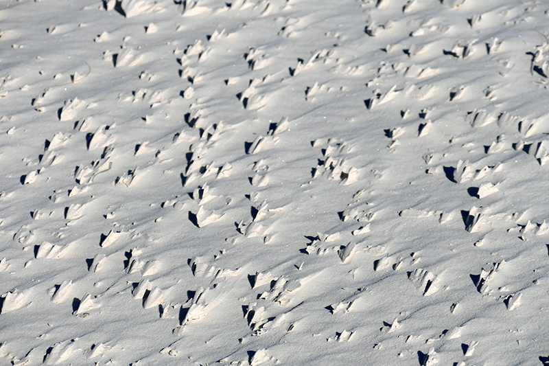 White Sands National Monument