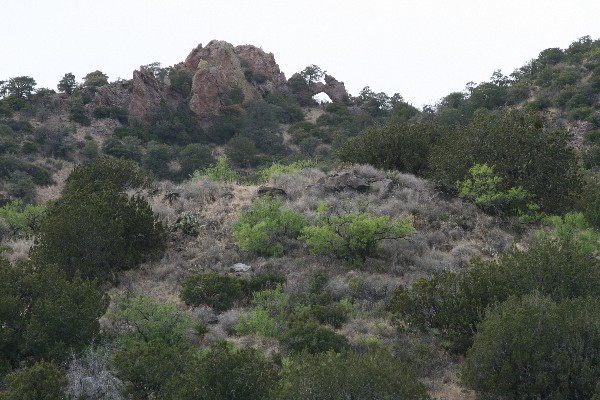 Whitetail Arch