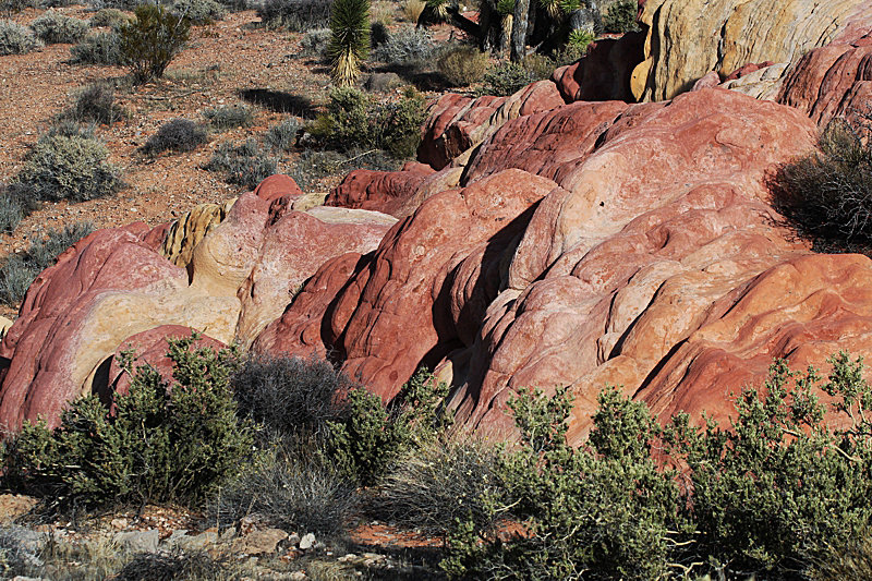 Whitney Pocket Nevada