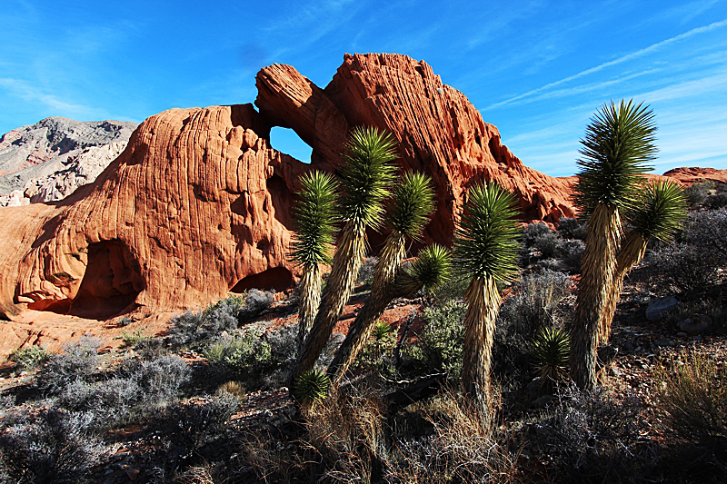 Whitney Pocket Arch