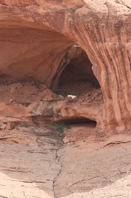 Wigwam Arch