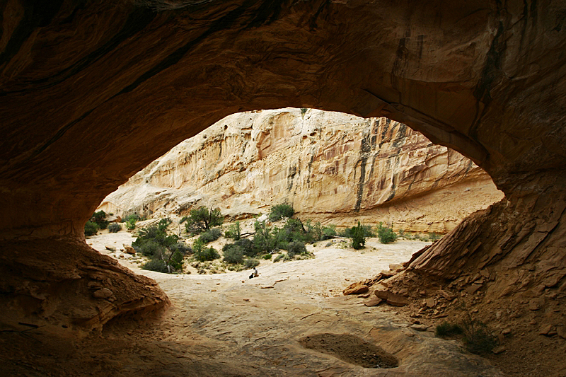 Wild Horse Window