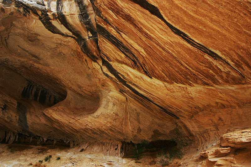 Wild Horse Window