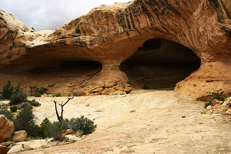 Wild Horse Window