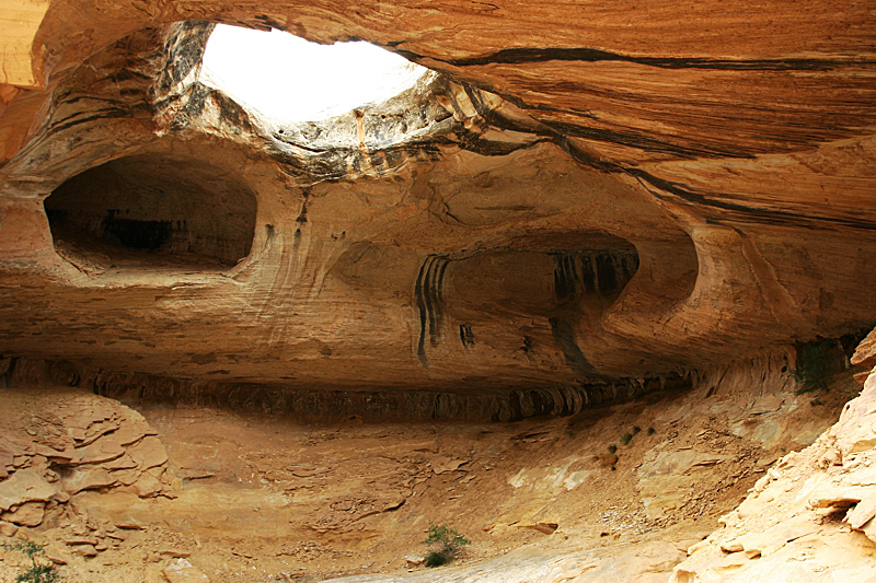 Wild Horse Window