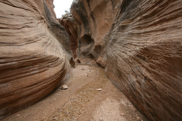 Willis Creek