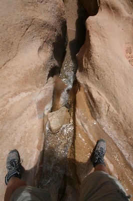 Willis Creek