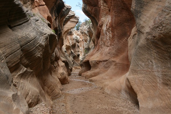 Willis Creek