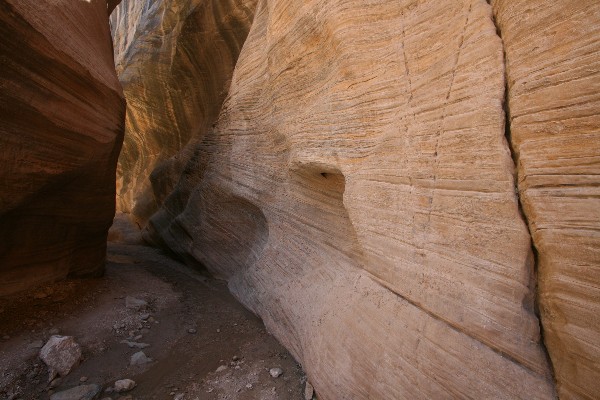 Willis Creek