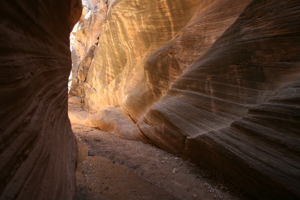 Willis Creek und Temple Arch