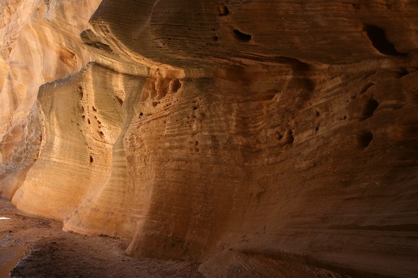 Willis Creek