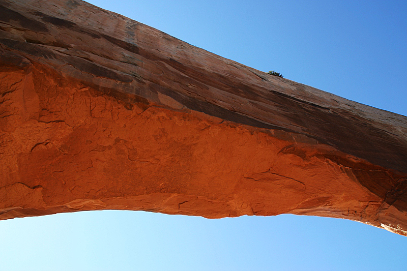 Wilson Arch