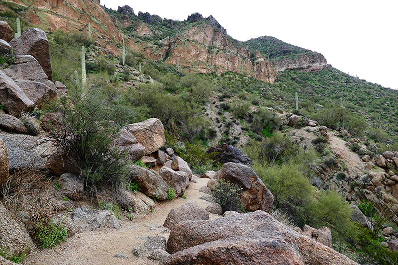 Wind Cave [Usery Mountain Regional Park]