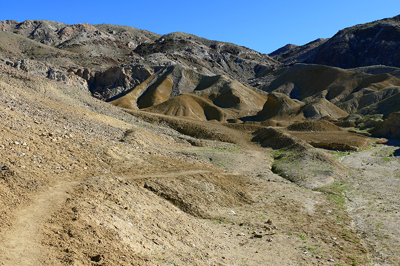 The Domelands and Wind Caves [Coyote Mountains Wilderness]