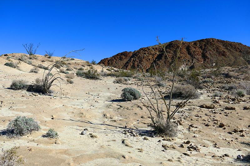 The Domelands and Wind Caves [Coyote Mountains Wilderness]