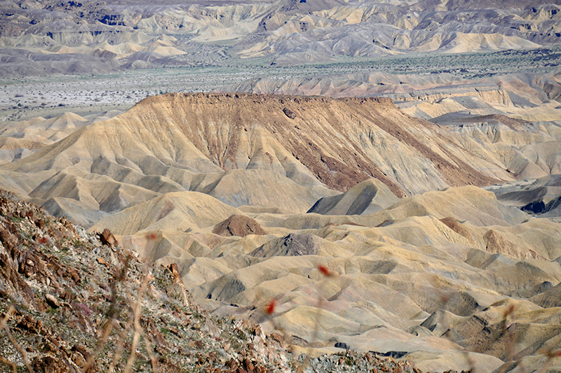 The Domelands and Wind Caves [Coyote Mountains Wilderness]