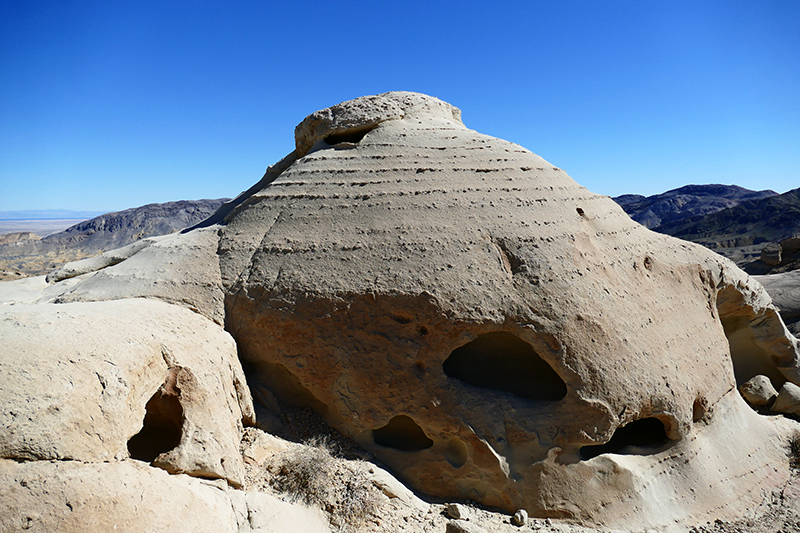 The Domelands and Wind Caves [Coyote Mountains Wilderness]