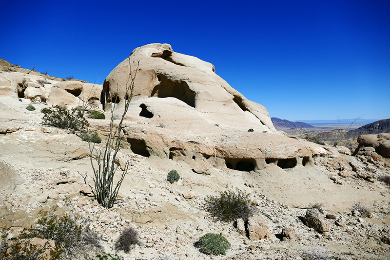 The Domelands and Wind Caves [Coyote Mountains Wilderness]