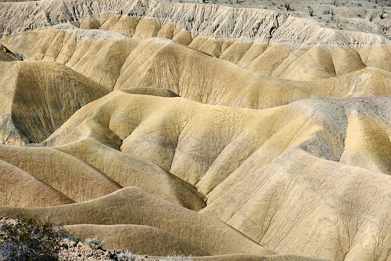 The Domelands and Wind Caves [Coyote Mountains Wilderness]