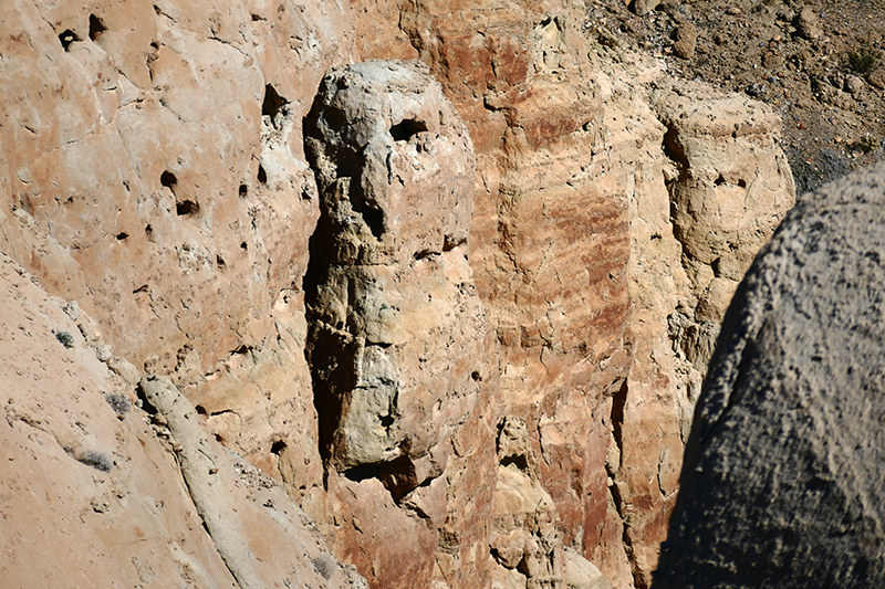 The Domelands and Wind Caves [Coyote Mountains Wilderness]