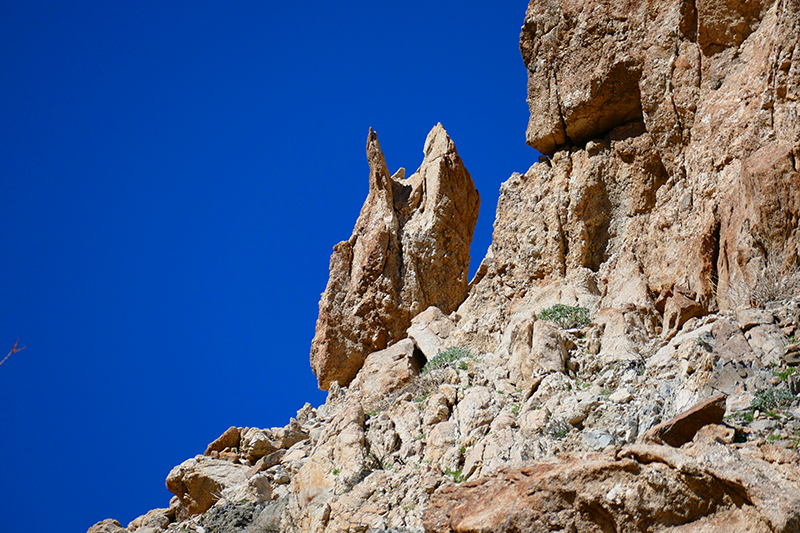 The Domelands and Wind Caves [Coyote Mountains Wilderness]