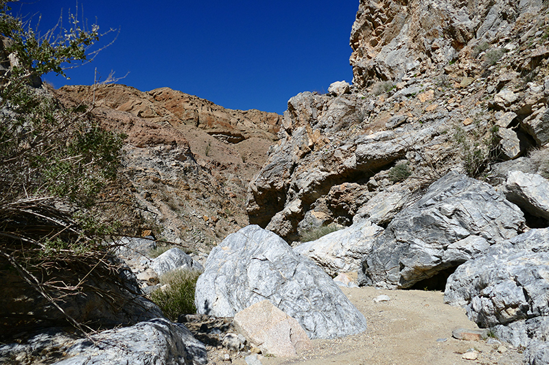 The Domelands and Wind Caves [Coyote Mountains Wilderness]