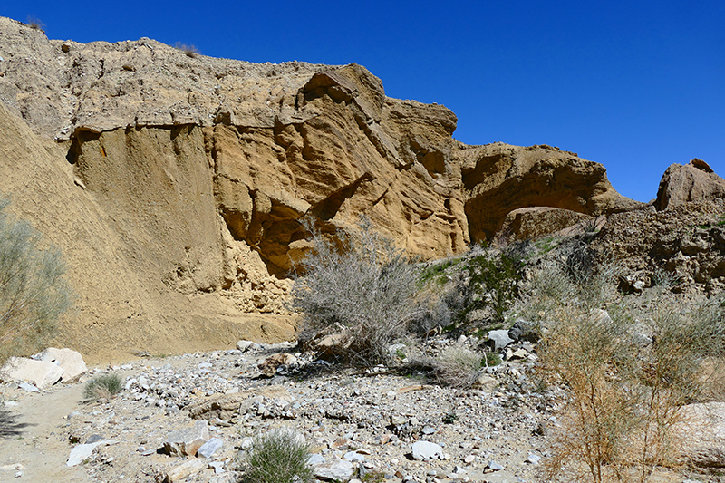 The Domelands and Wind Caves [Coyote Mountains Wilderness]