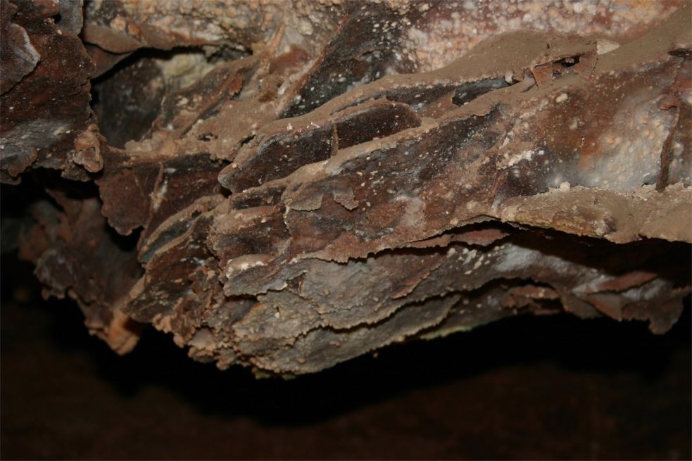 Wind Cave National Park