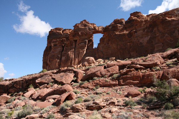 Window Arch