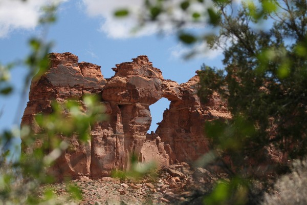 Window Arch