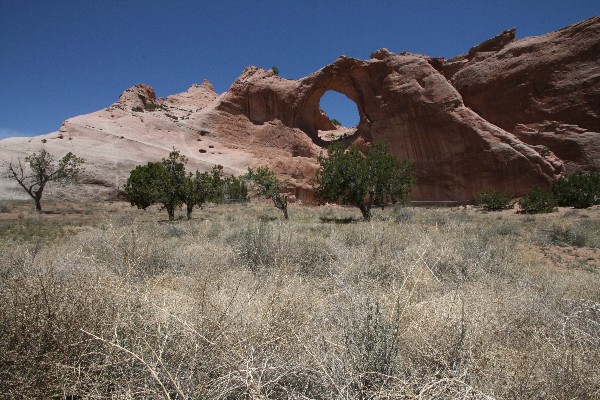 Window Rock at Window Rock