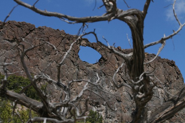 Window Rock Lemitas