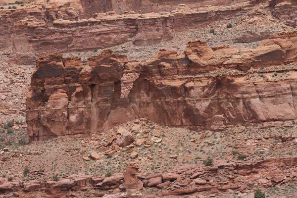 Window Arch