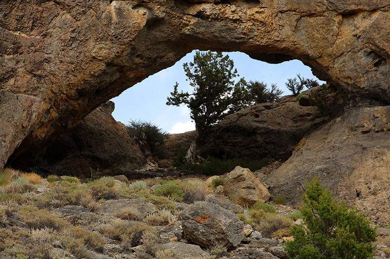 Wind Tunnel Arch