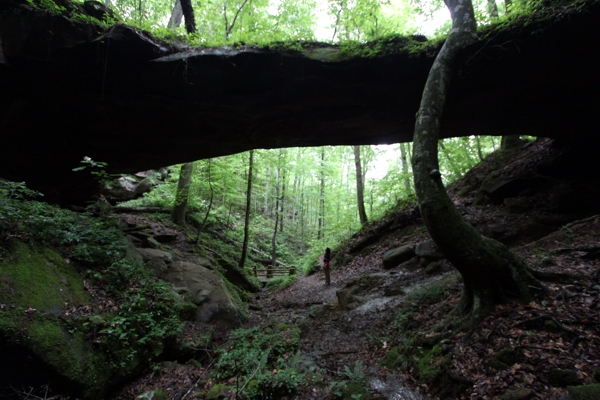 Winston Cave Arch