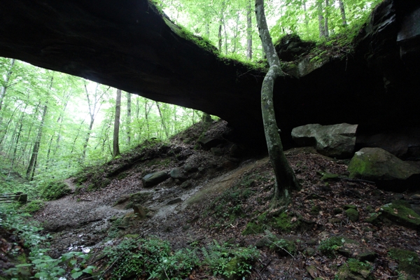 Winston Cave Arch